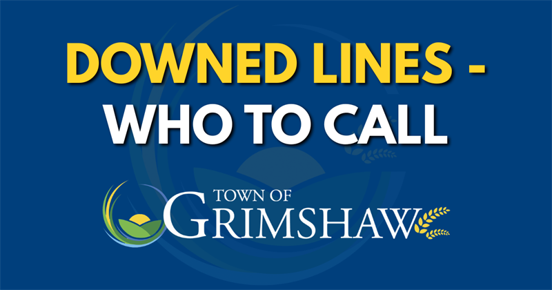Downed_Lines