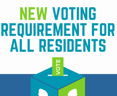 Voting in the election